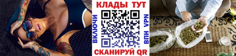 Псилоцибиновые грибы Северск