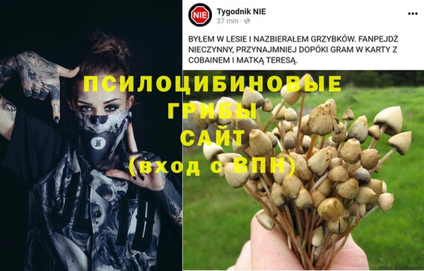 гидропоника Верхний Тагил