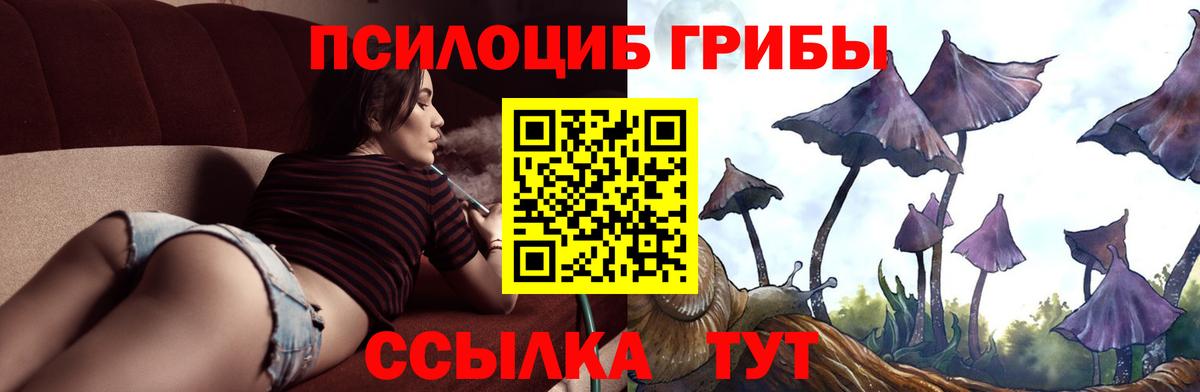 Галлюциногенные грибы Psilocybe  Псилоцибиновые грибы мицелий  Вход с VPN  Северск 